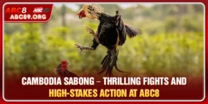 Cambodia Sabong