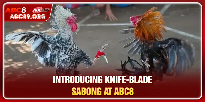 Introducing Knife-Blade Sabong at ABC8