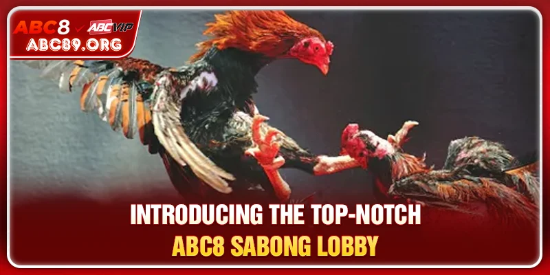 Introducing the top-notch ABC8 SABONG lobby