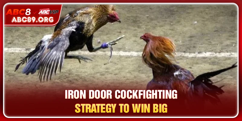 Iron door cockfighting strategy to win big