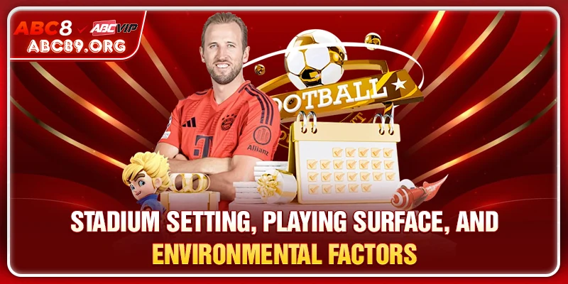 Match Venue, Field Conditions, and Surrounding Factors