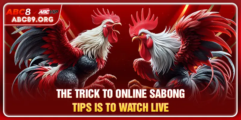 The trick to online sabong tips is to watch live