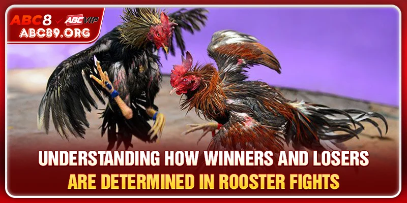 Make the Most of Platform Tools and Real-Time Updates in Cambodia Sabong